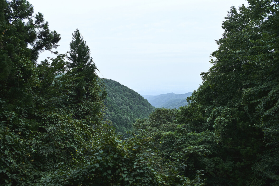 Japanese Odyssey 05