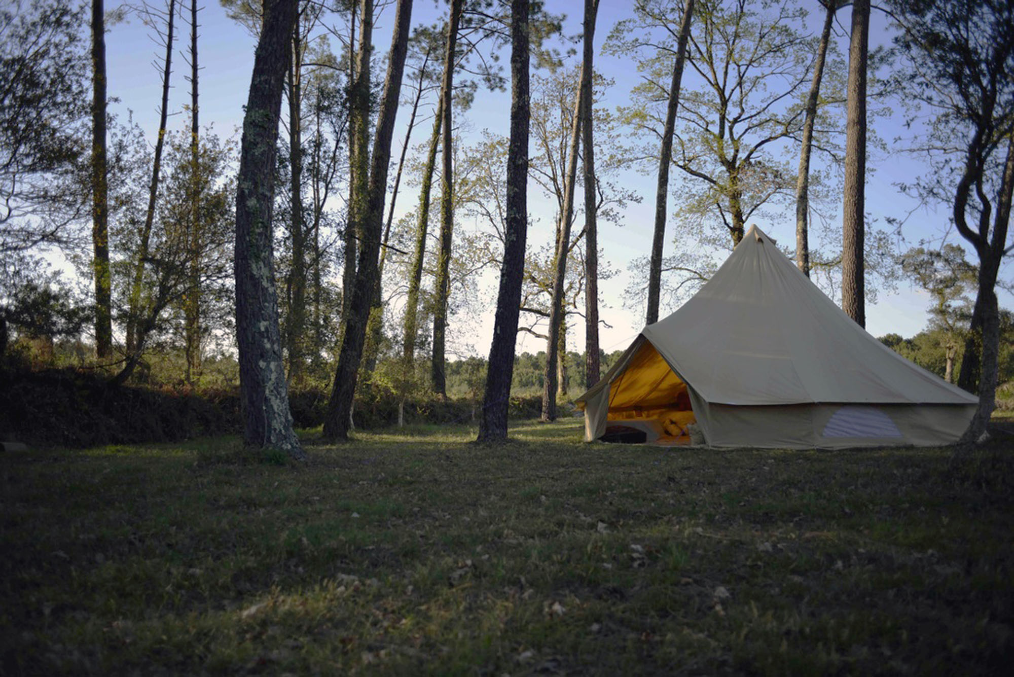 Ocean Shelter 5