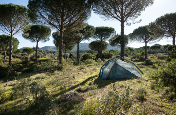 Heimplanet02 Heimplanet02