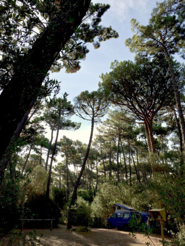 Camping_Punta_Ala_6