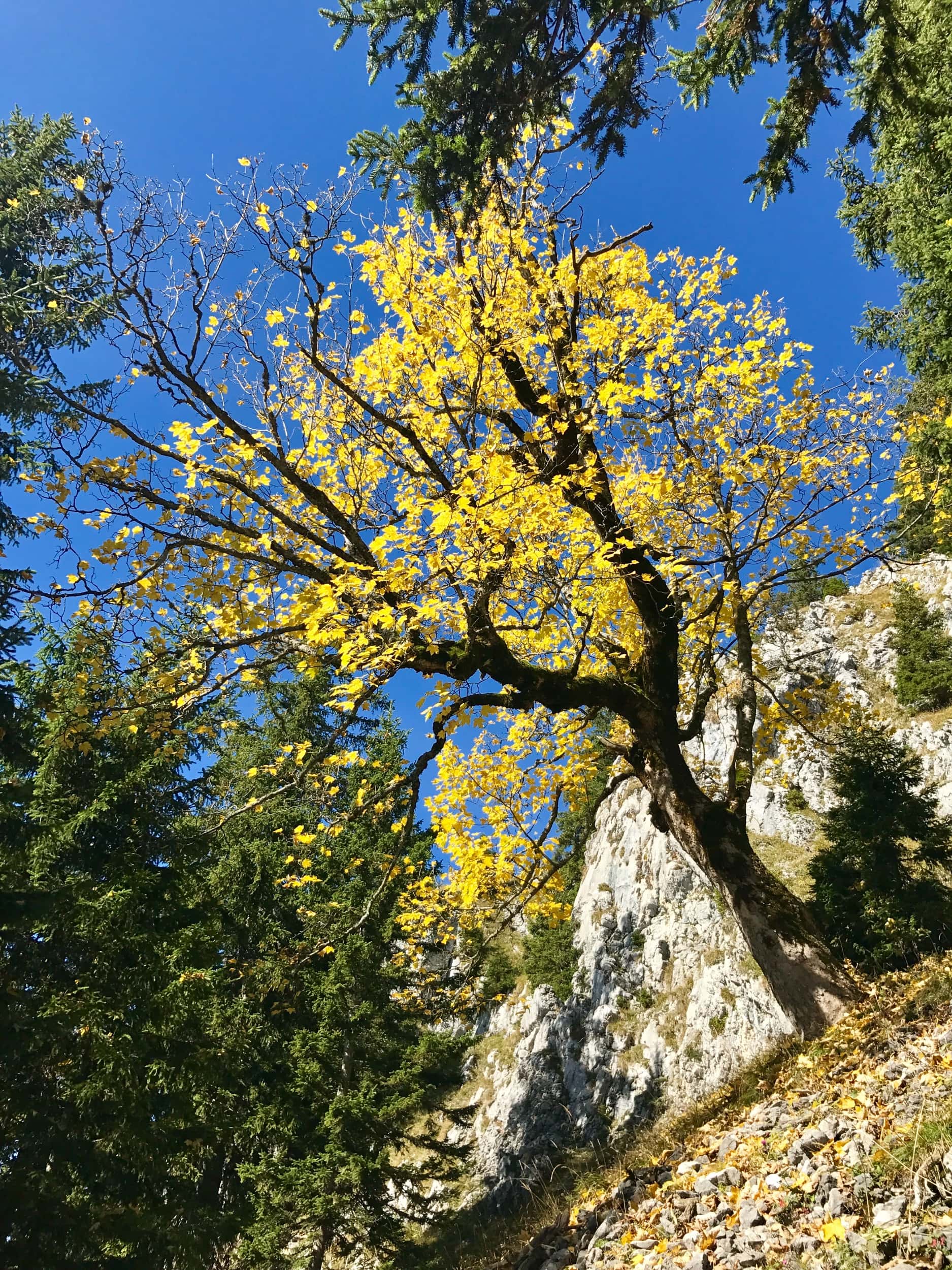 Outville Herbstwandern Breitenstein 25