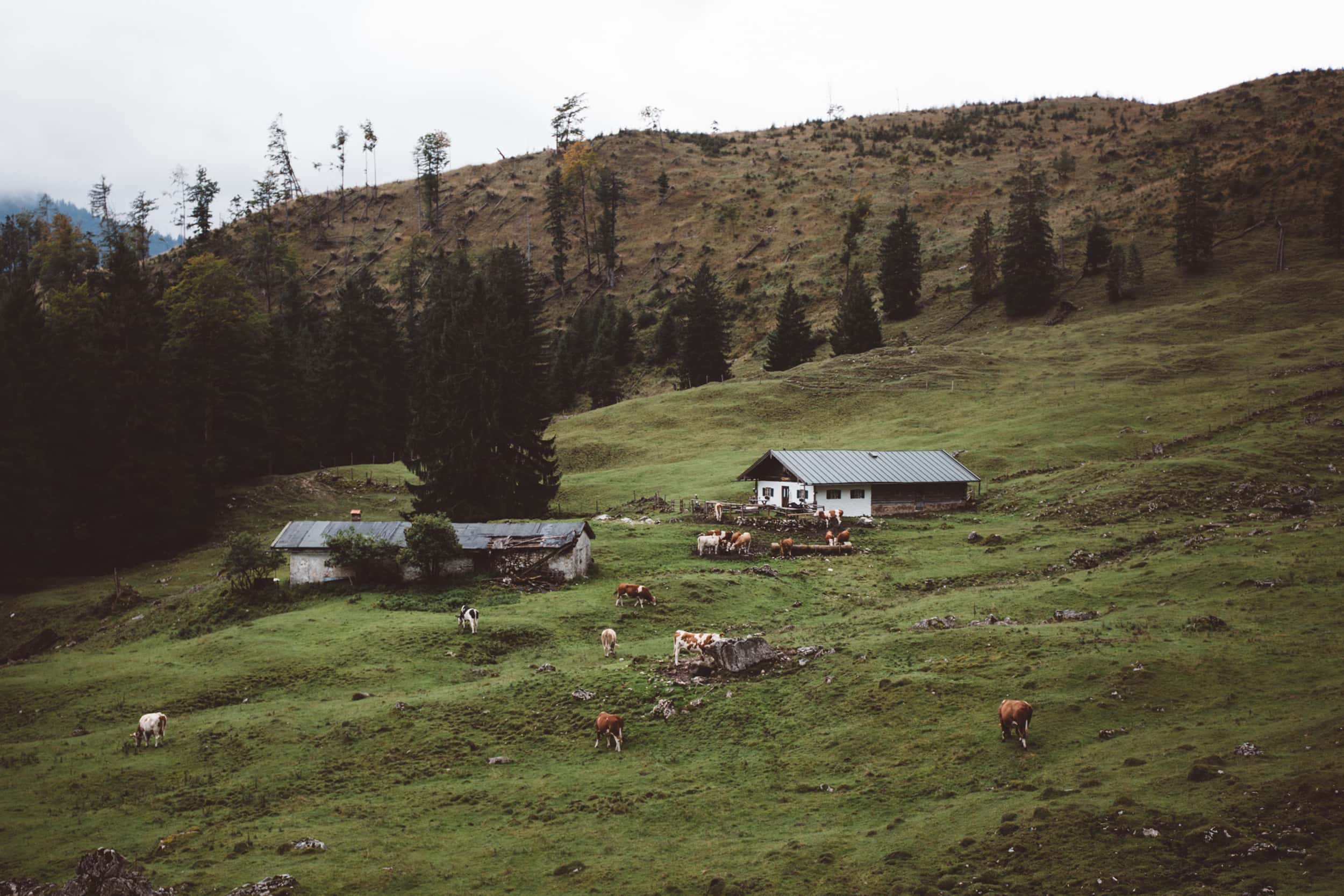 Wanderung_Laubenstein_mit_Kampenwandblick_1