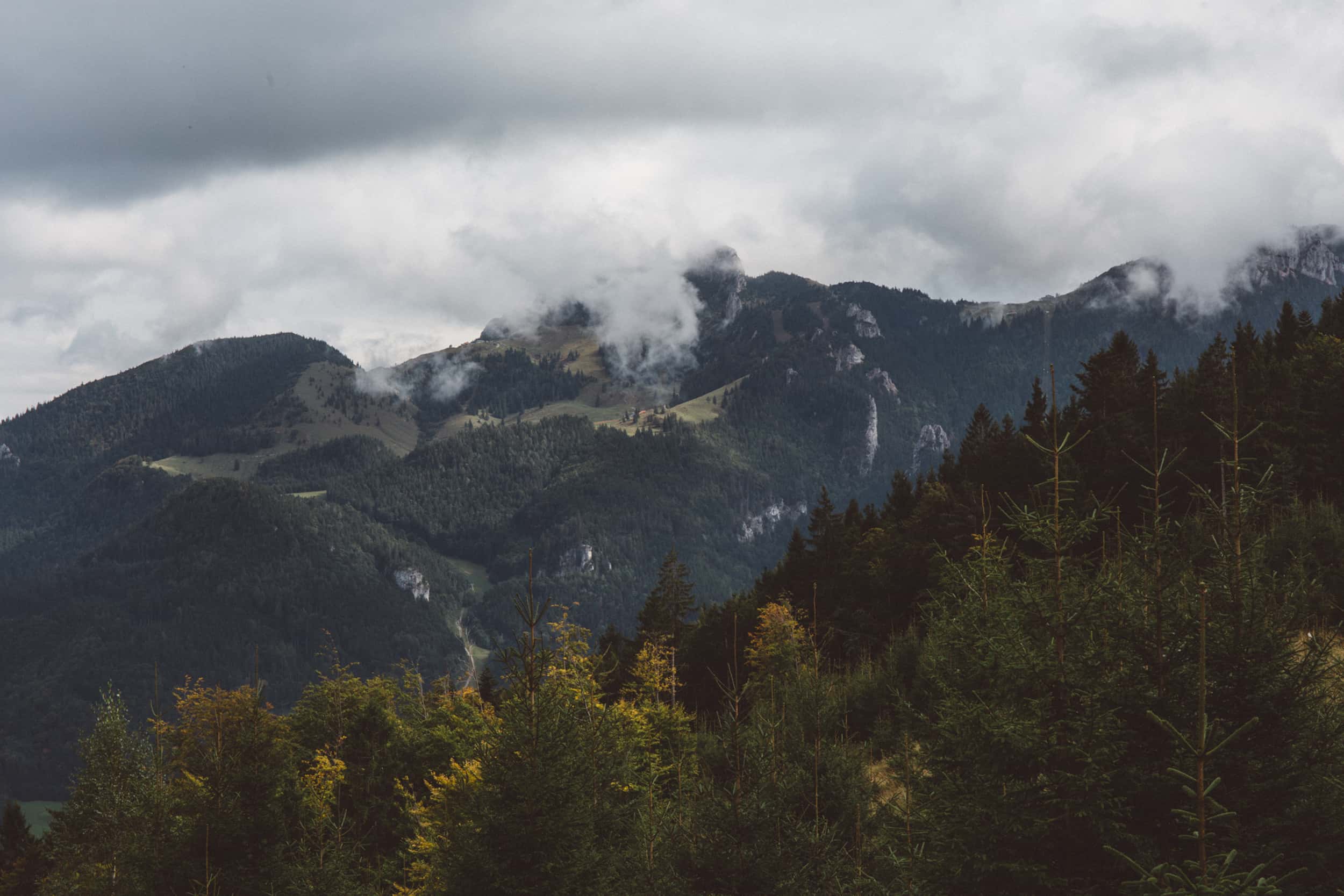 Wanderung_Laubenstein_mit_Kampenwandblick_3