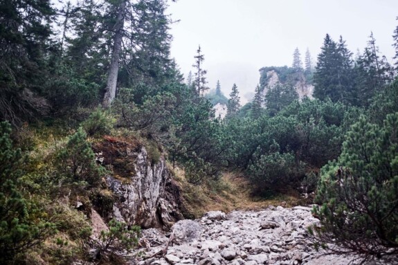 Ammergauer Alpen Berge Wandern Herbst 3