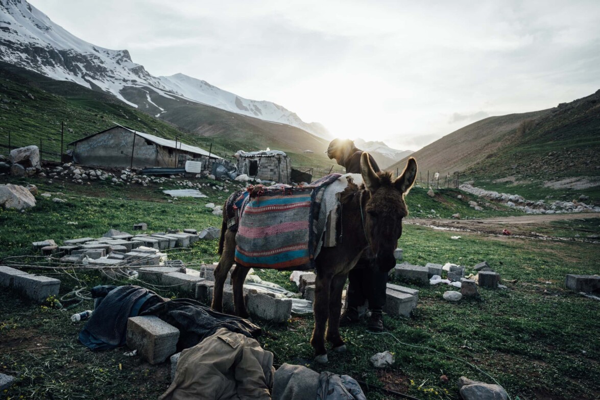 bis iran-teheran-reise-freeride-skitour 9