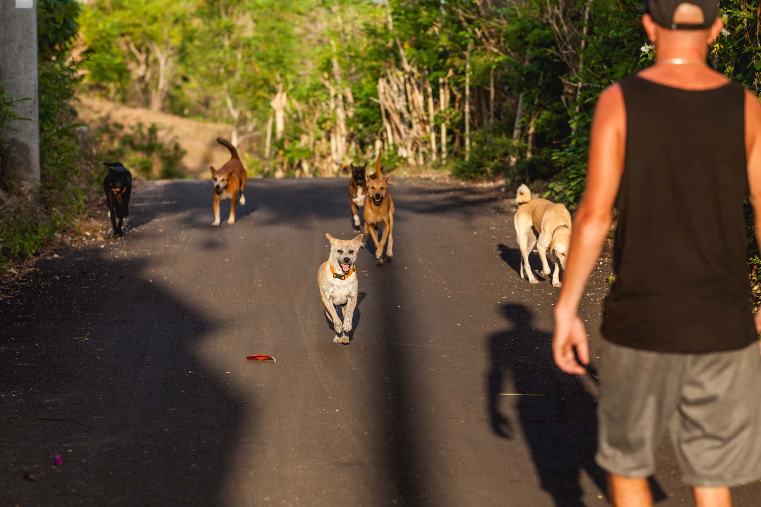 Surfen Indonesien Bali 10
