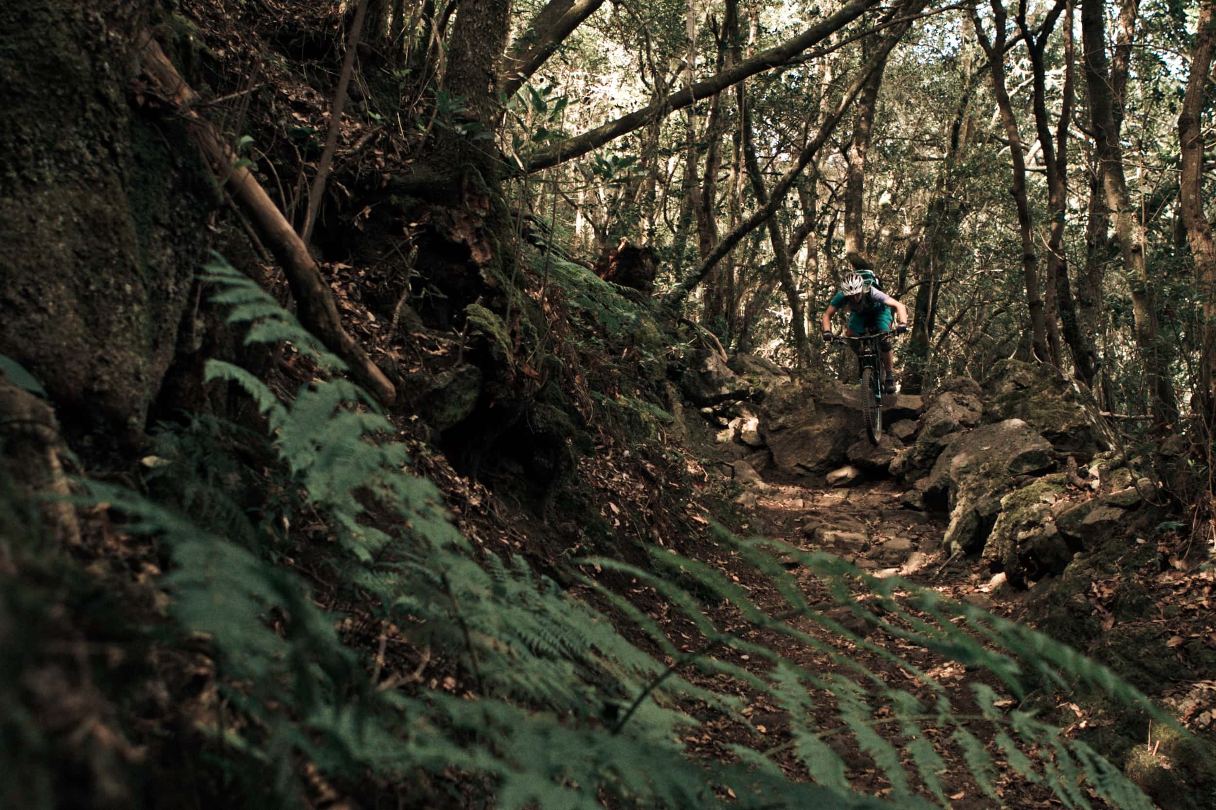 La Palma Mountainbike 14
