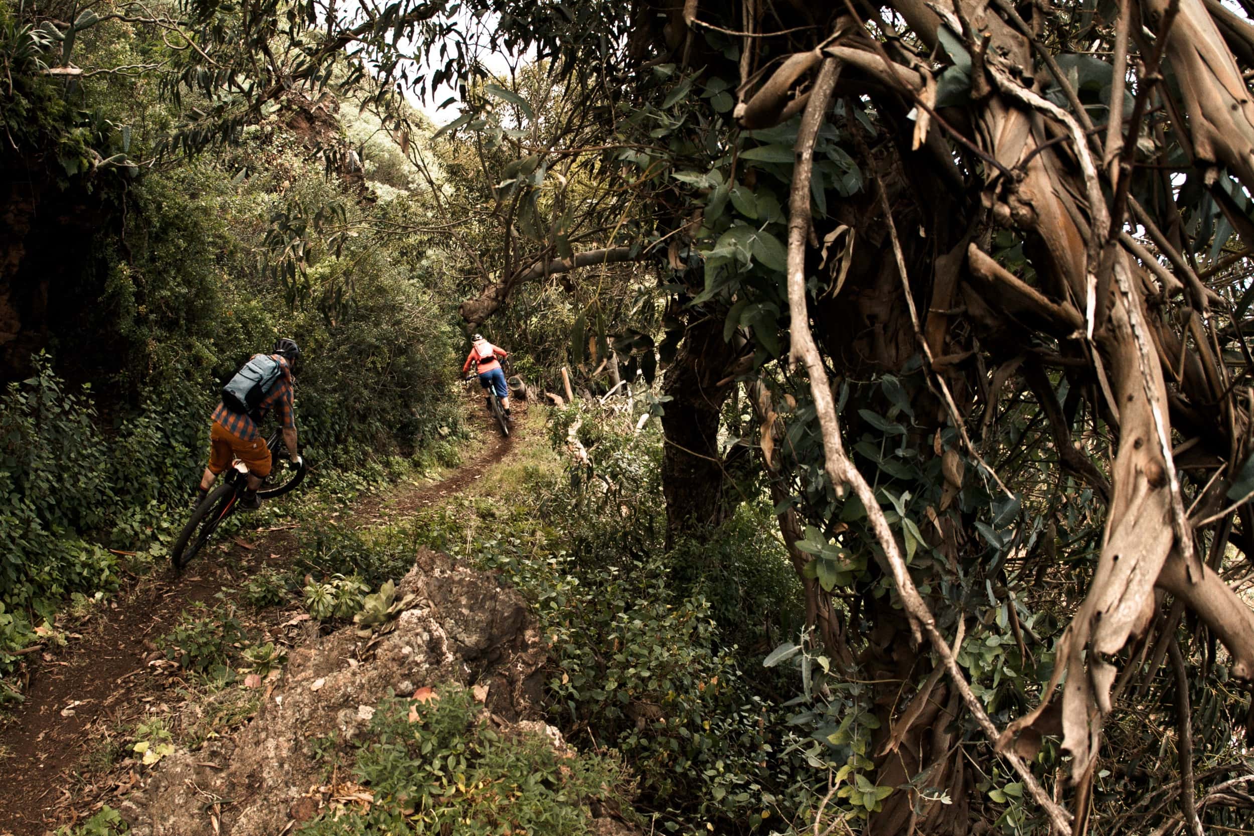 La Palma Mountainbike 3