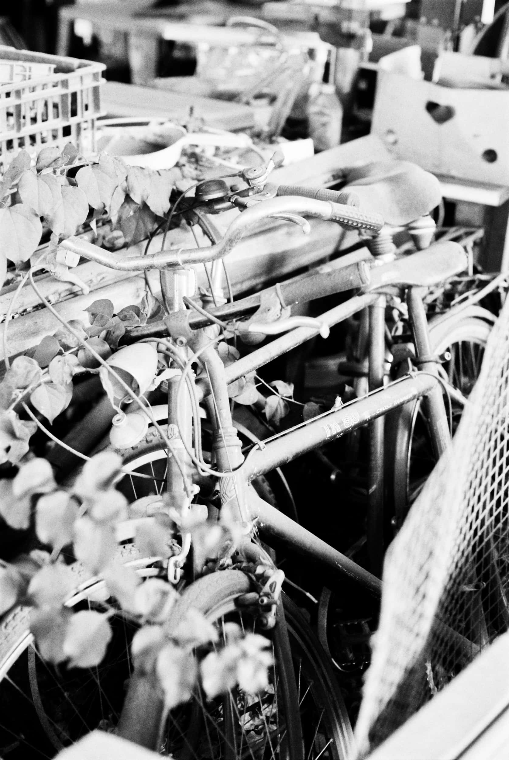 La Palma Mountainbike 34