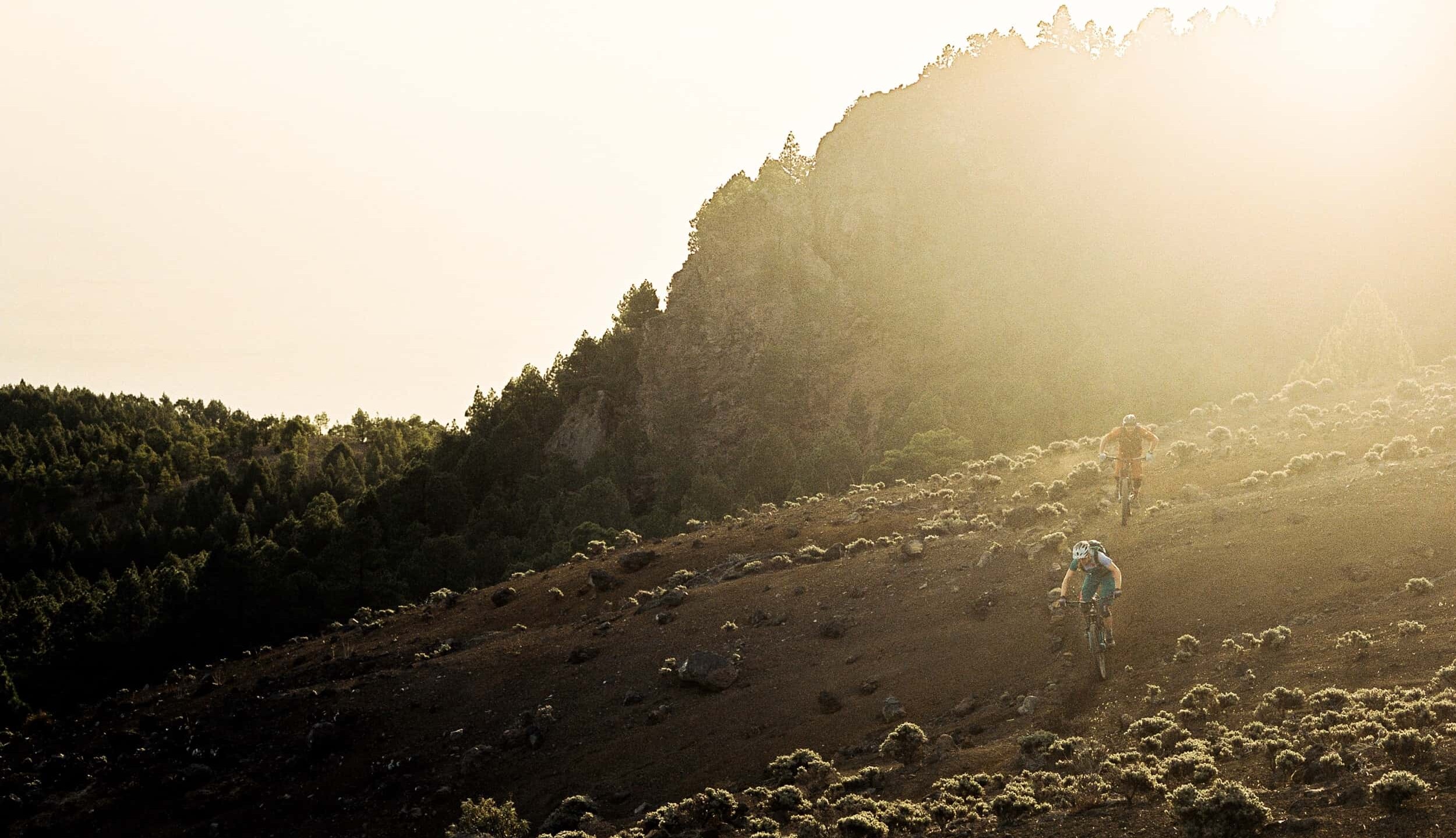 La Palma Mountainbike 36