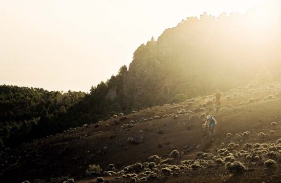 La Palma Mountainbike 36 La Palma Mountainbike 36