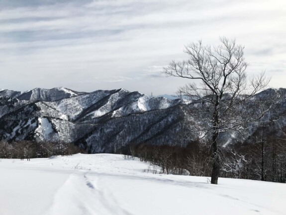 Freeride Japan Naeba 7