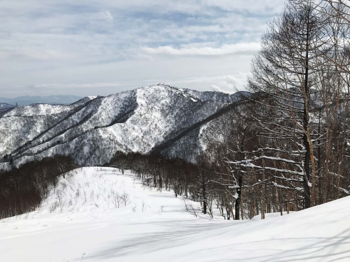 Freeride Japan Naeba 9