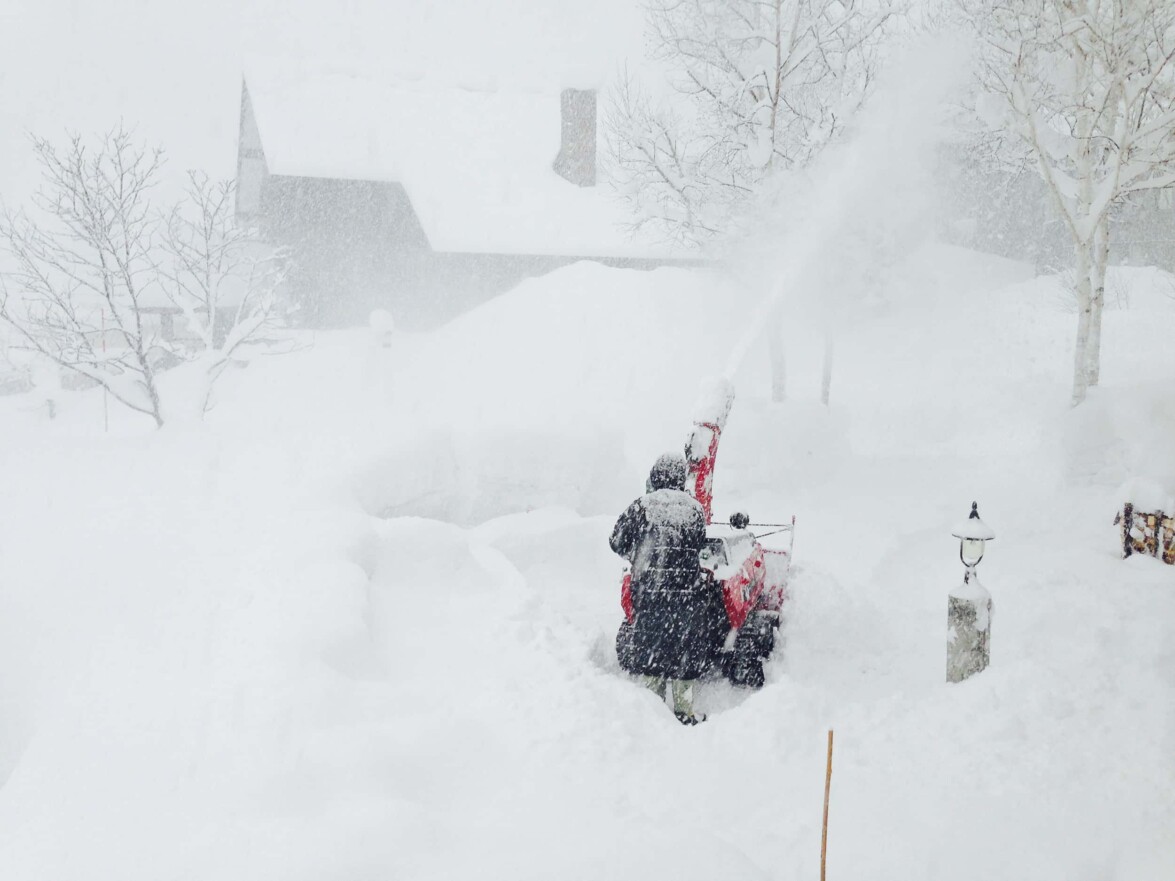 Freeride Japan Niseko 1