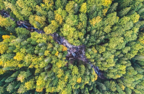 Blue Heart Kampagne Patagonia_17