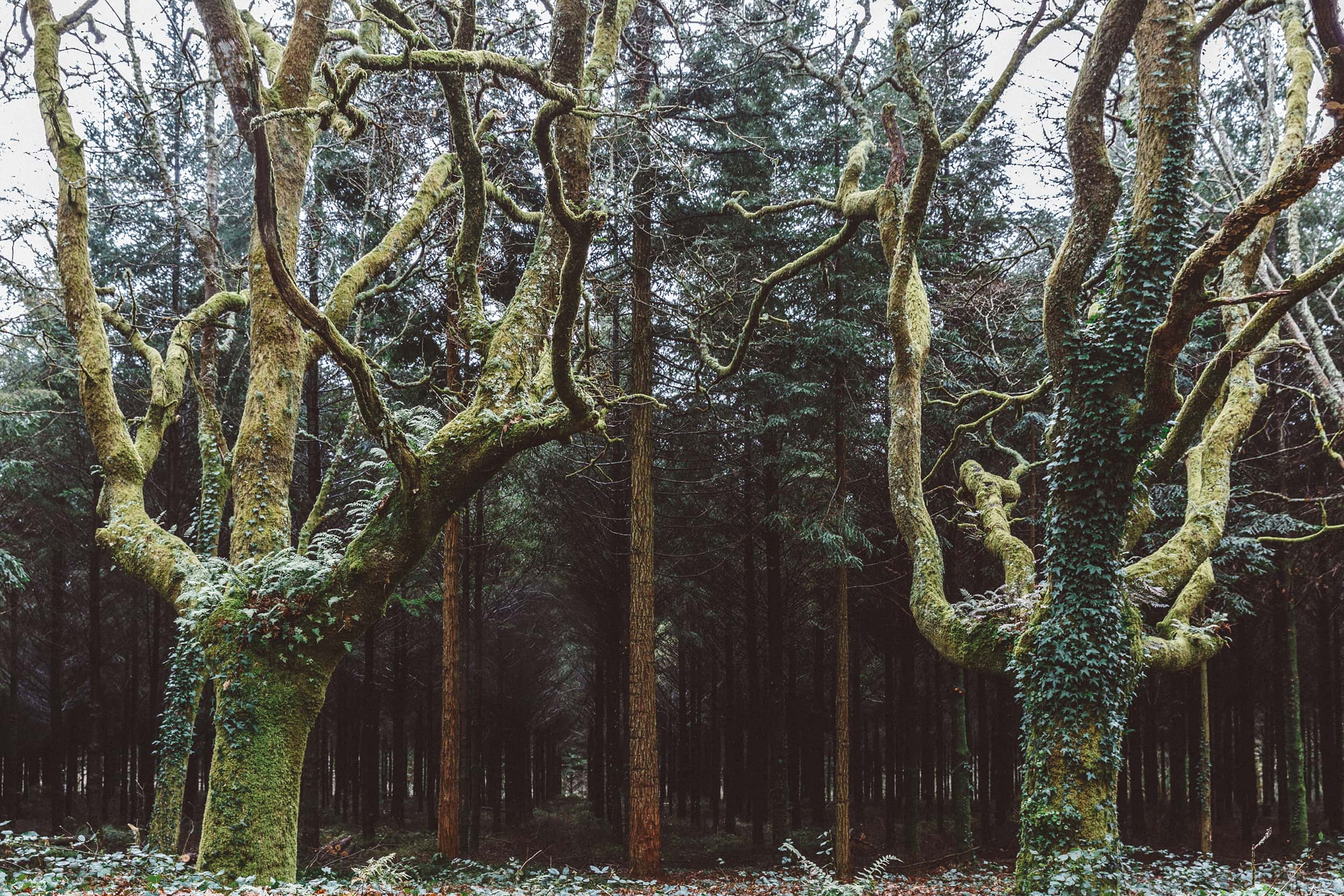 Outville_Jakobsweg_13