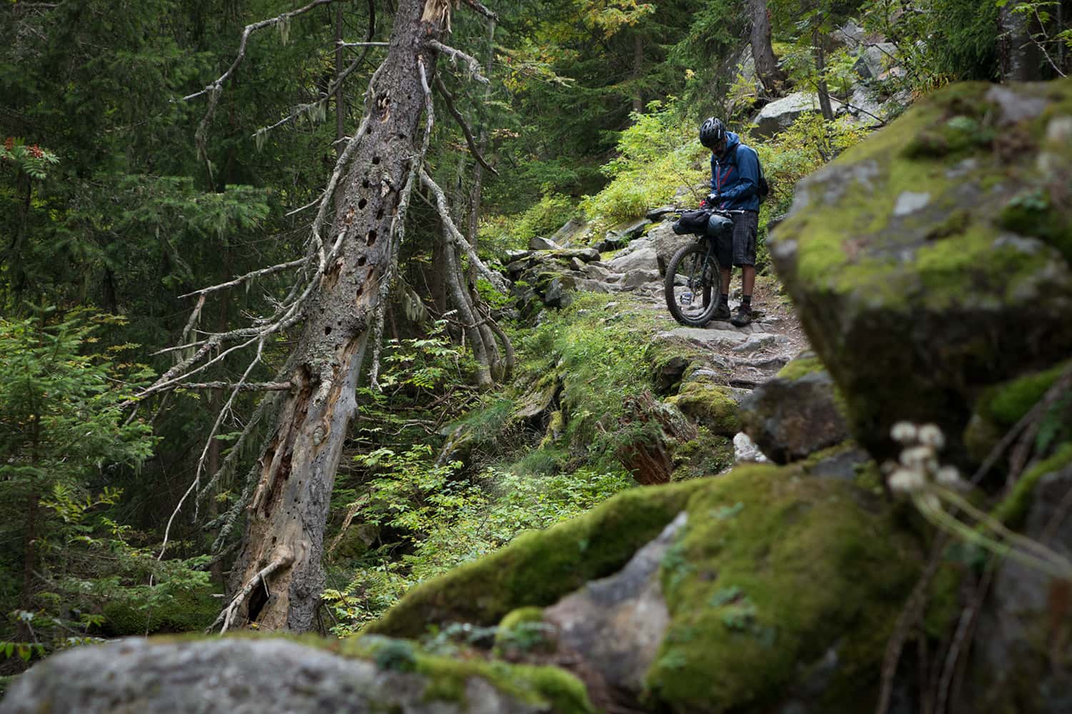 outville montanus bikepacking (16)