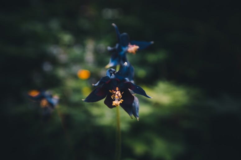 outville_alpenueberquerung_e5_005