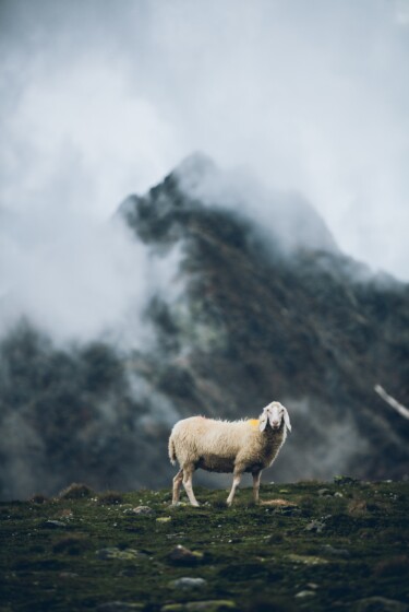 outville_alpenueberquerung_e5_12