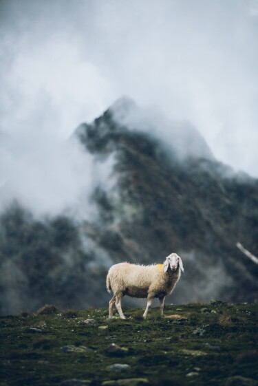 outville_alpenueberquerung_e5_12