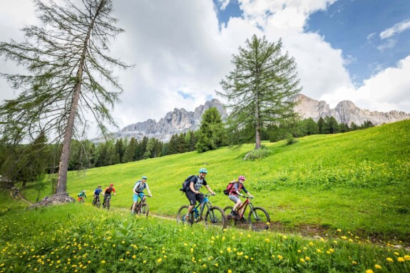 Outville Rosadira Mountainbike (10)