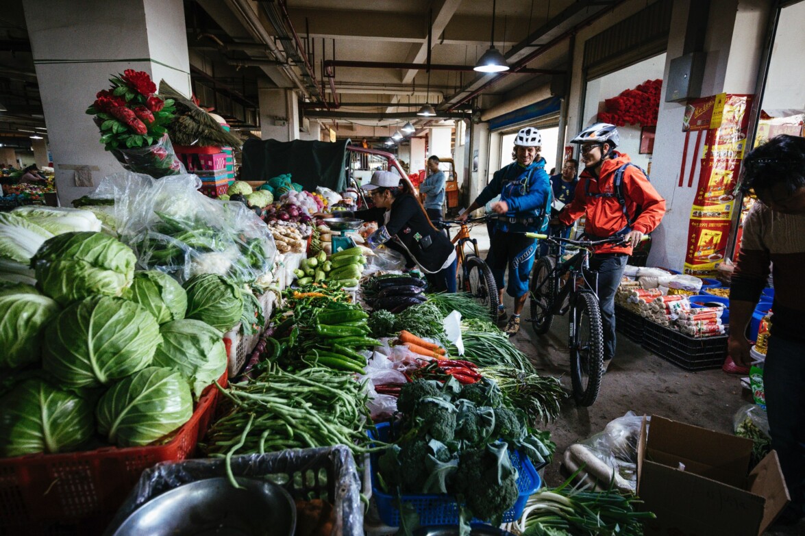 Tibet Outville Mountainbike (100)