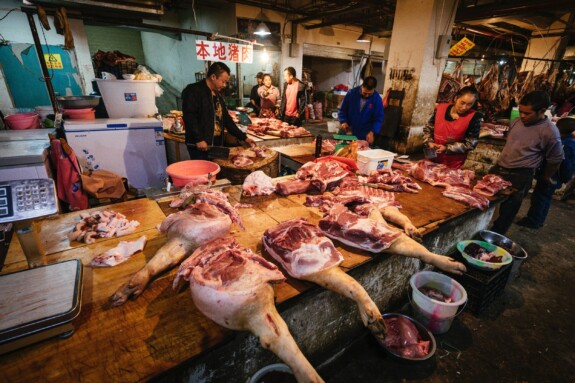 Tibet Outville Mountainbike (101)