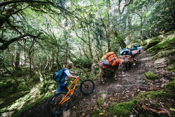 Tibet Outville Mountainbike (142)