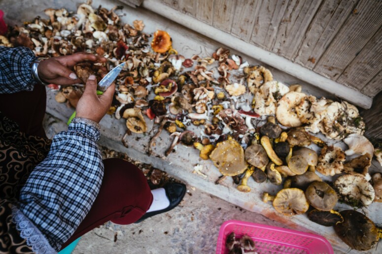 Tibet Outville Mountainbike (95)