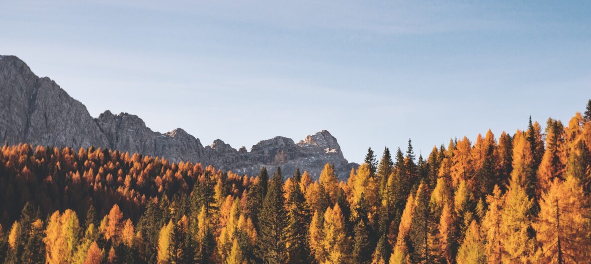 outville-Herbst2 outville-Herbst2