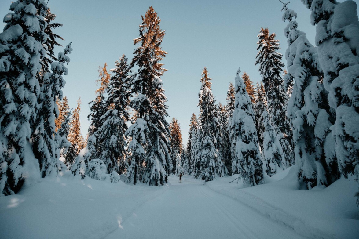 19-01-21-22 Outville Langlauf-100