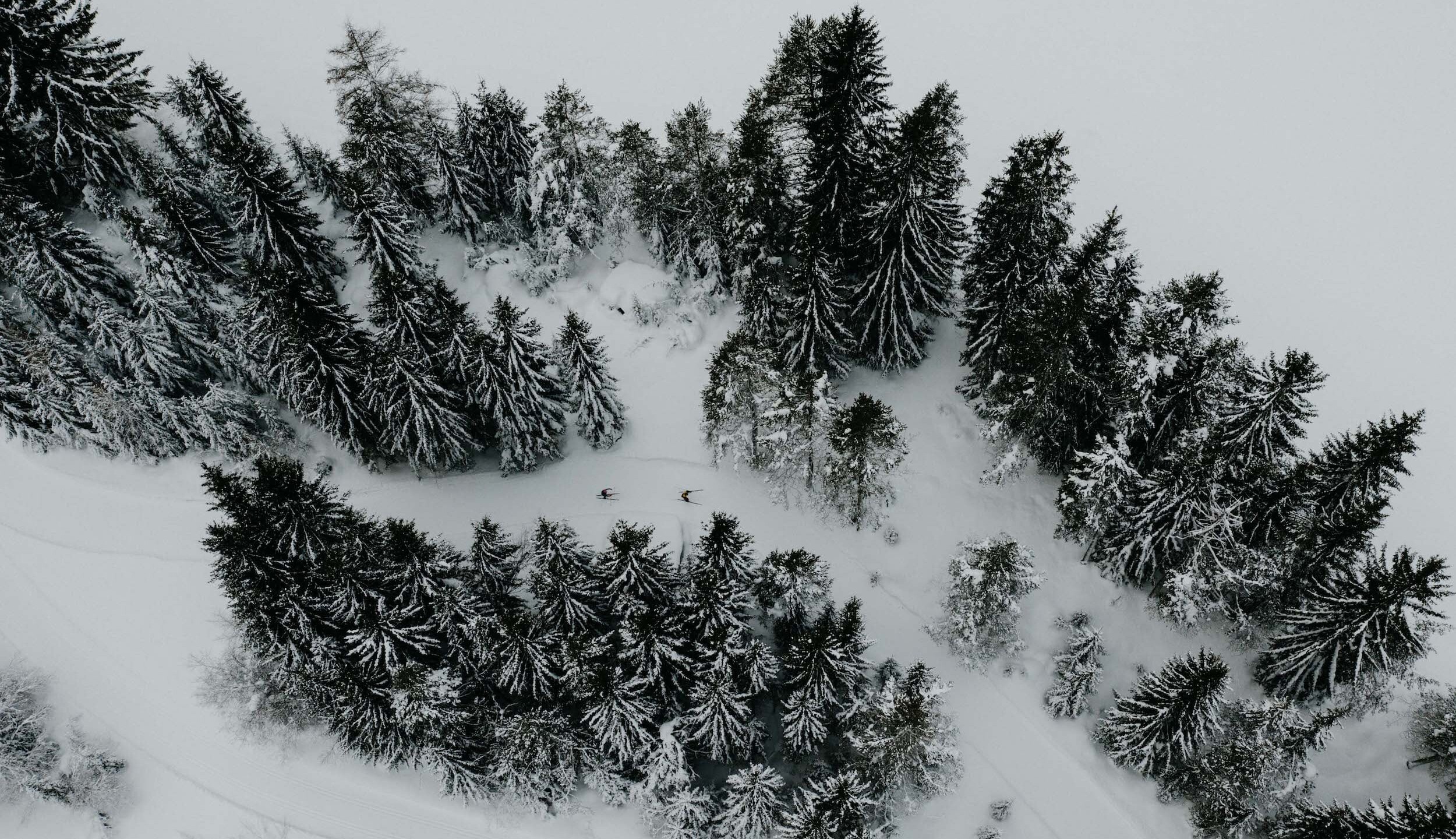 19-01-21-22 Outville Langlauf-4 19-01-21-22 Outville Langlauf-4