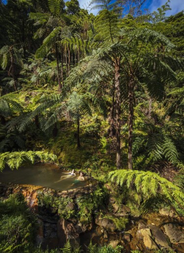 Outville_Mountainbike_Azoren_128