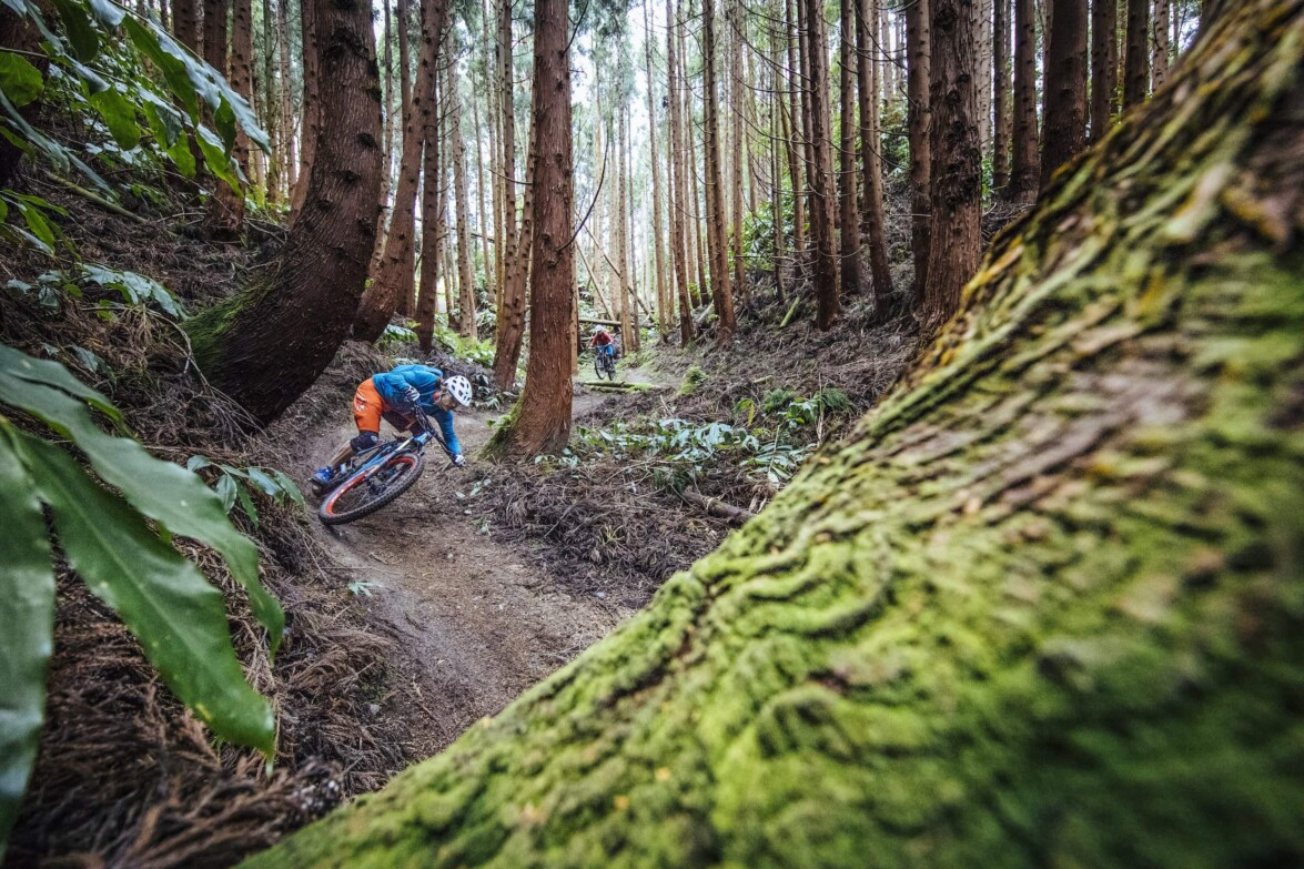 Outville_Mountainbike_Azoren_131