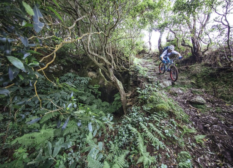 Outville_Mountainbike_Azoren_14
