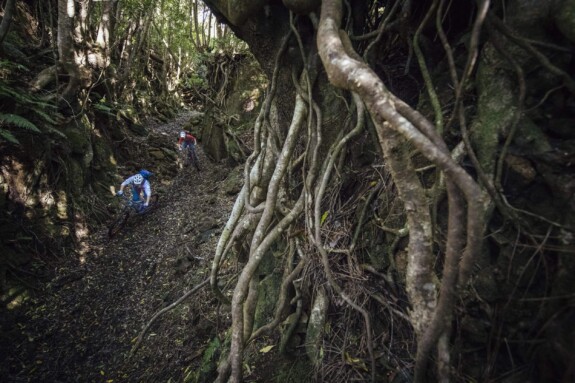 Outville_Mountainbike_Azoren_27