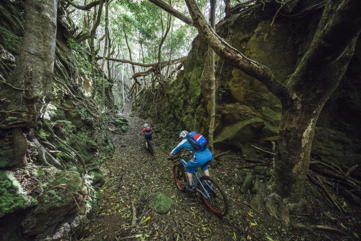 Outville_Mountainbike_Azoren_28
