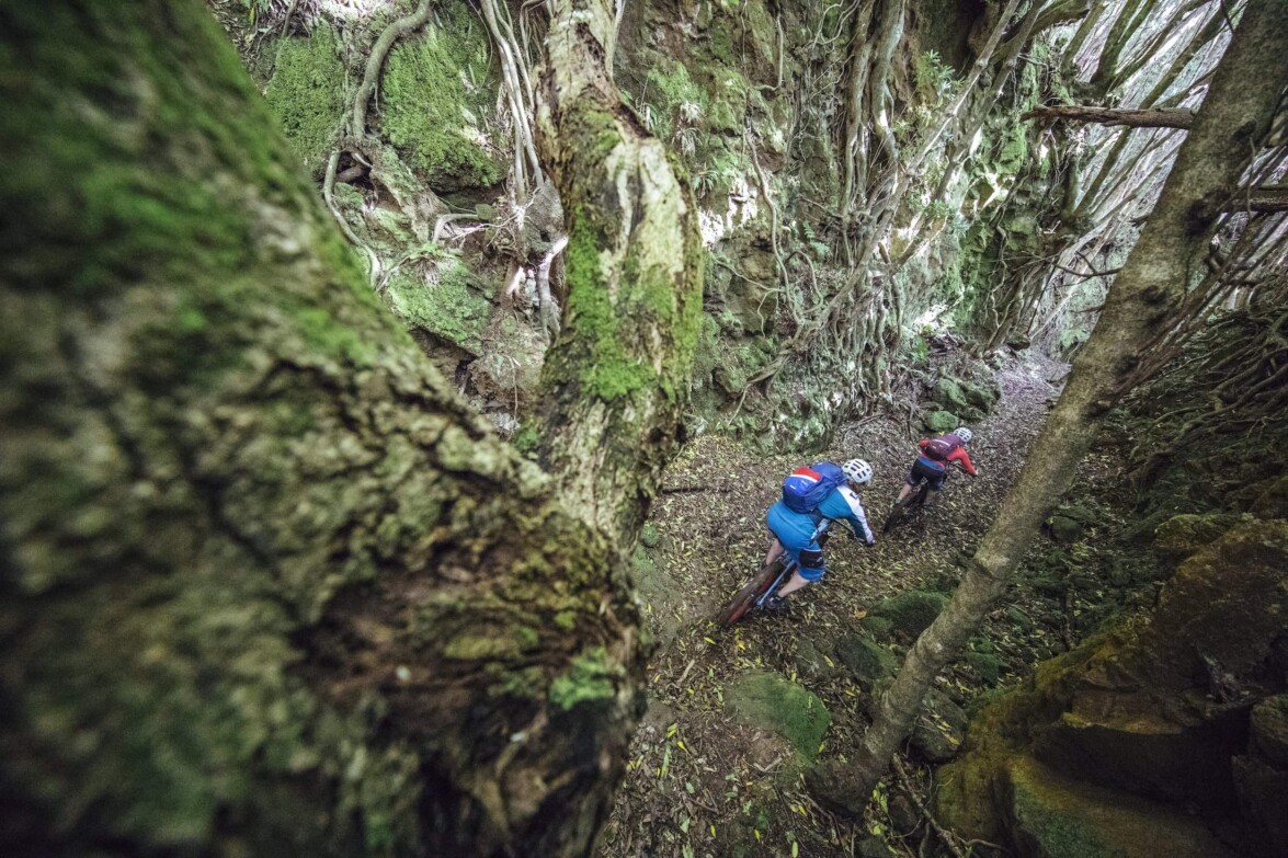 Outville_Mountainbike_Azoren_29