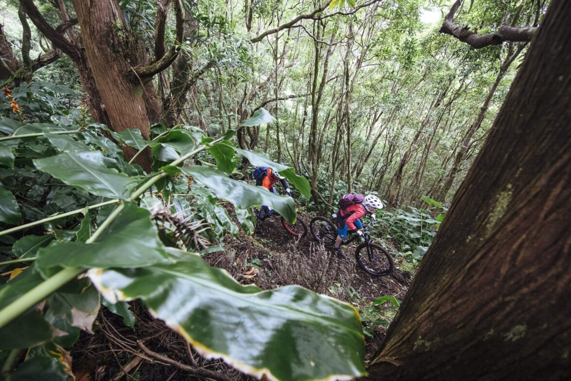 Outville_Mountainbike_Azoren_3