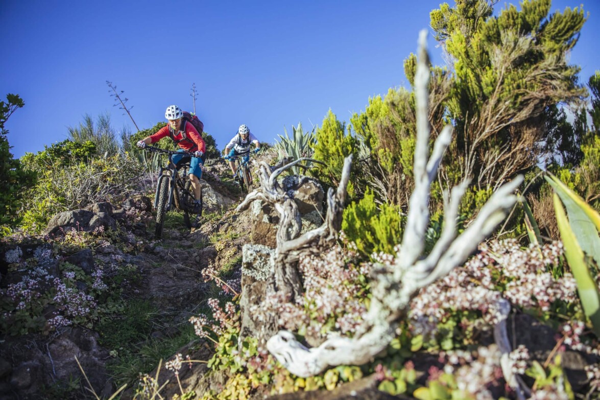 Outville_Mountainbike_Azoren_32
