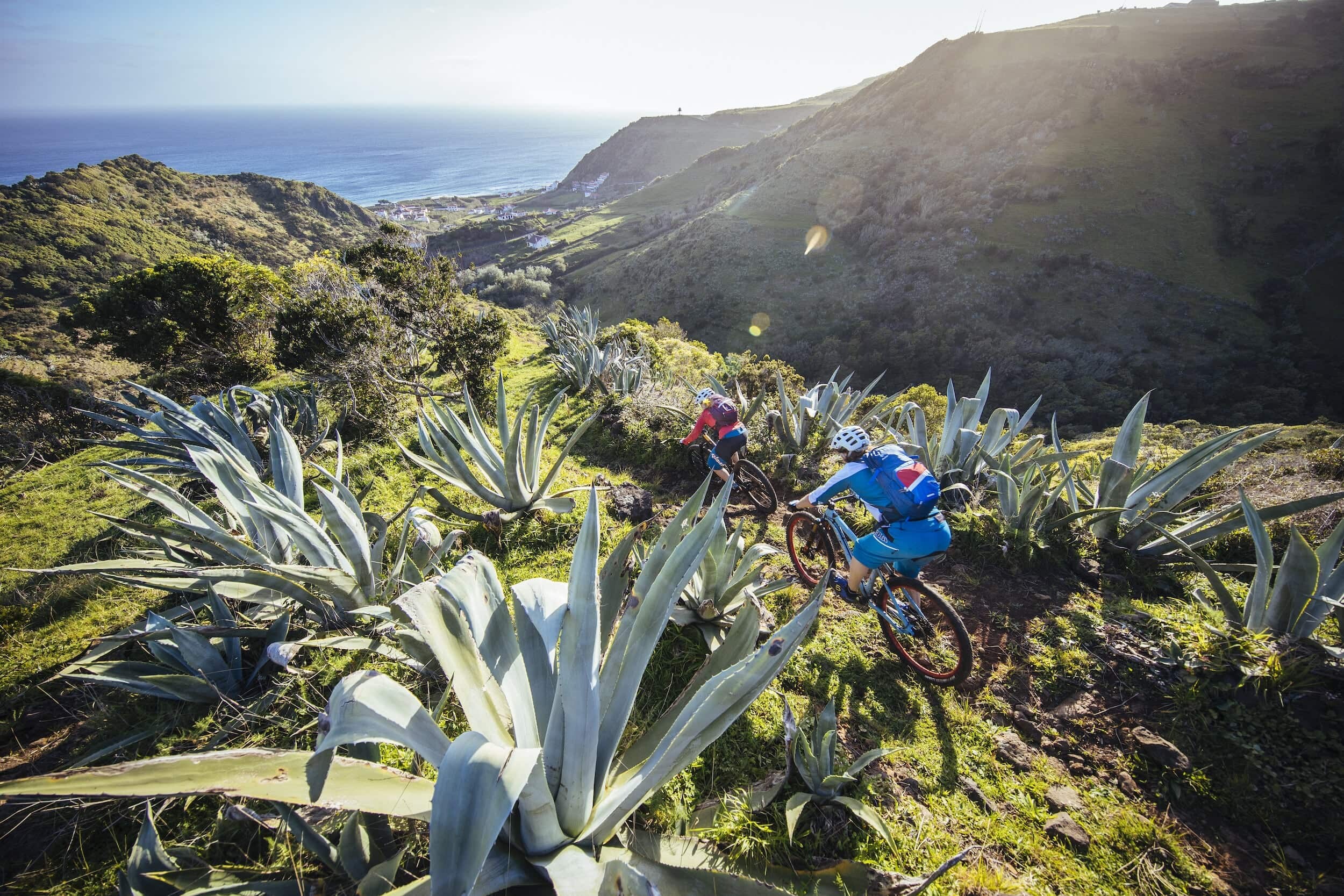 Outville_Mountainbike_Azoren_34