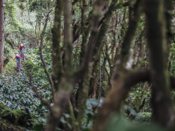 Outville_Mountainbike_Azoren_4