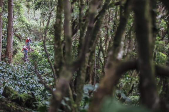 Outville_Mountainbike_Azoren_4