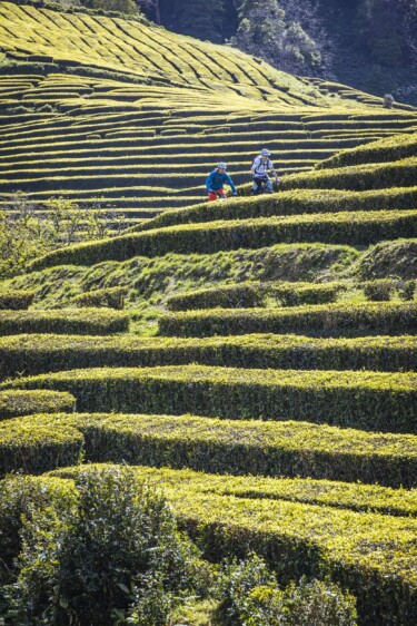 Outville_Mountainbike_Azoren_92