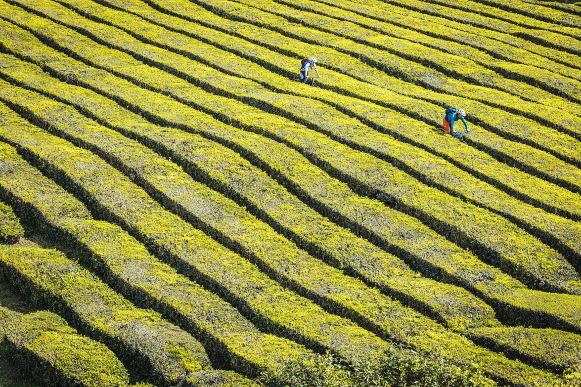 Outville_Mountainbike_Azoren_97