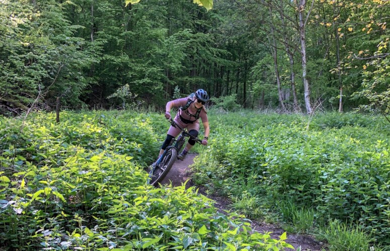 Outville Treuchtlingen Mountainbike 1