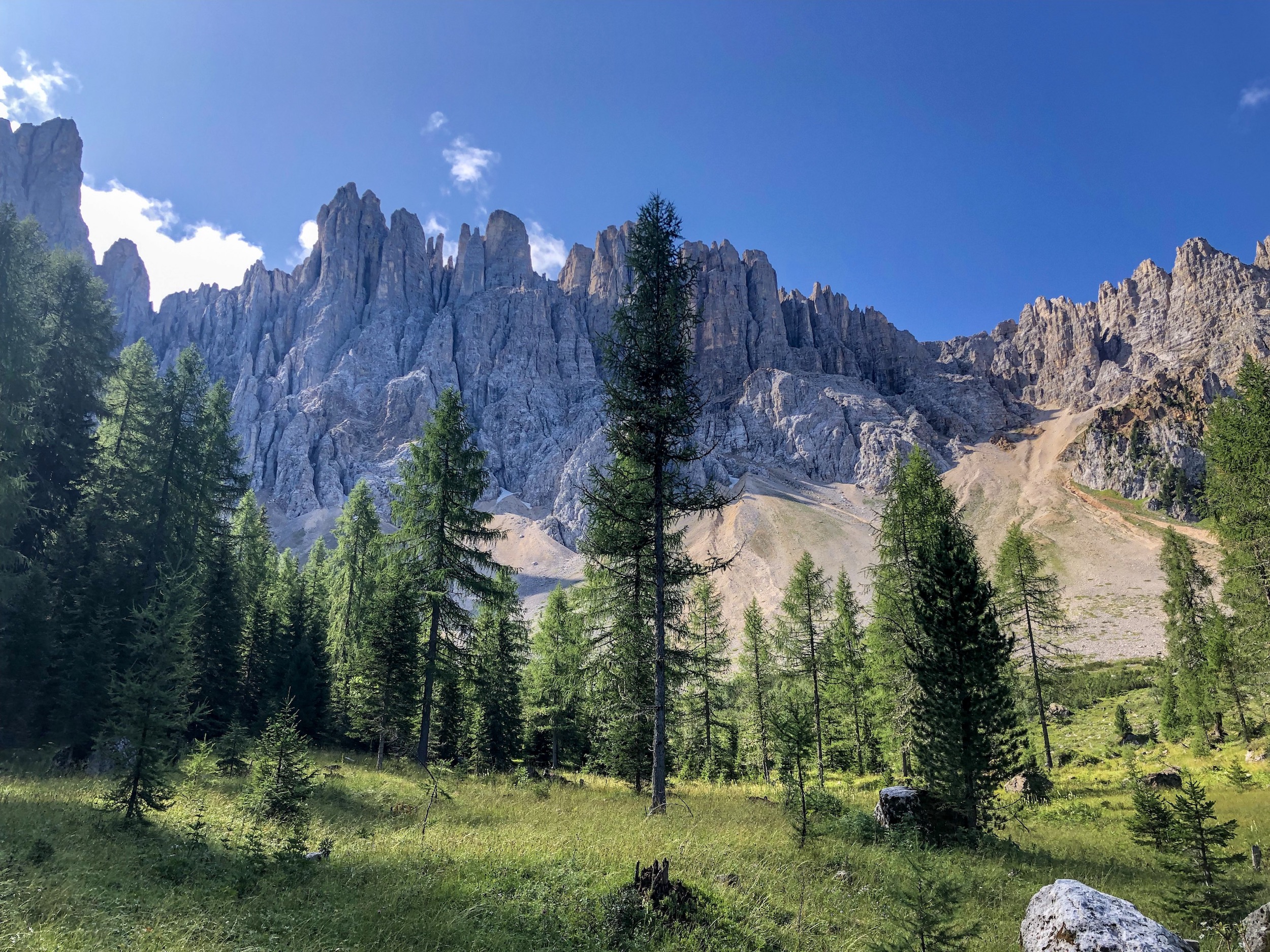 Outville Mountainbike Latemar