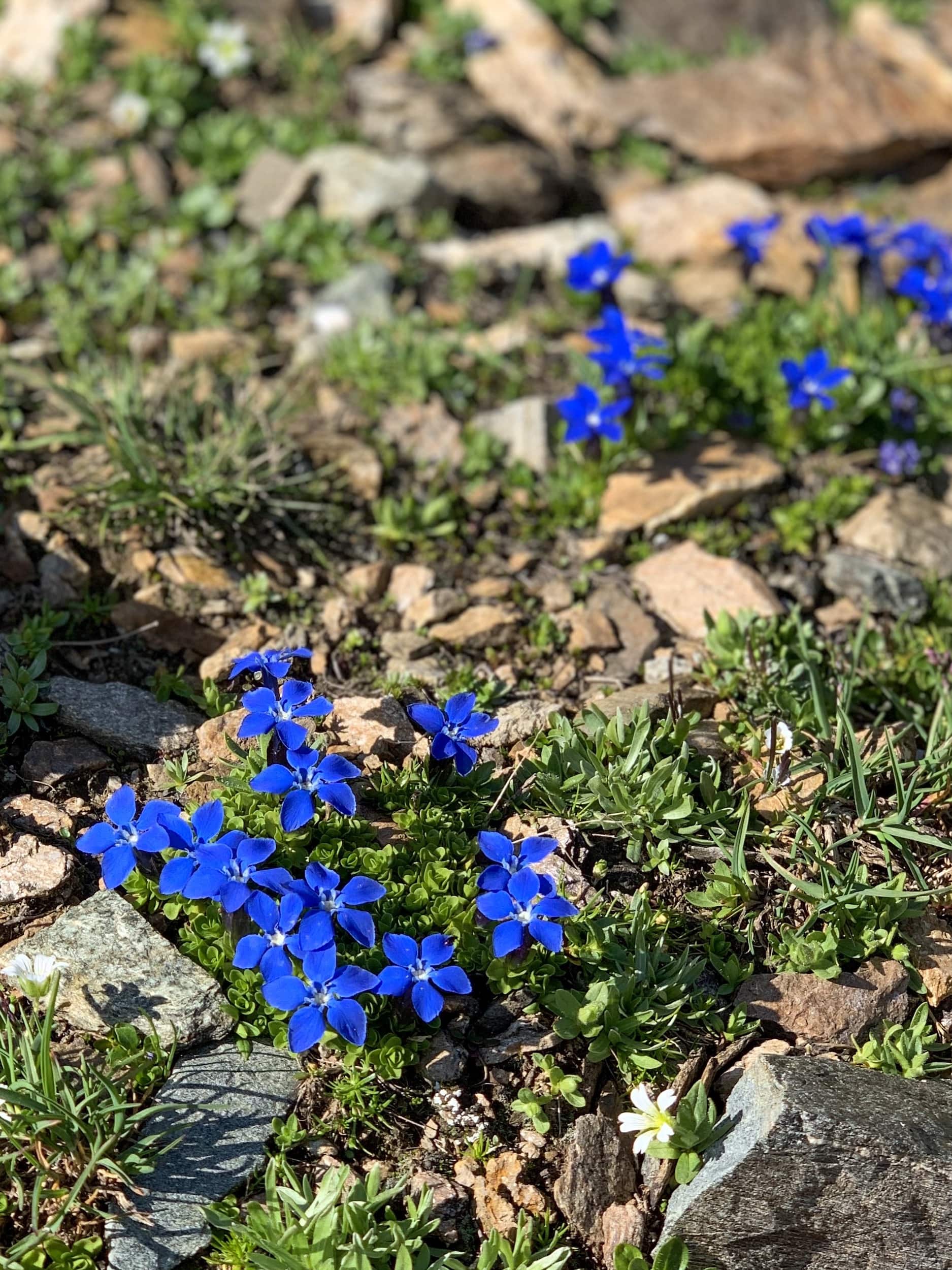 Outville Mountainbike Lenzerheide 9