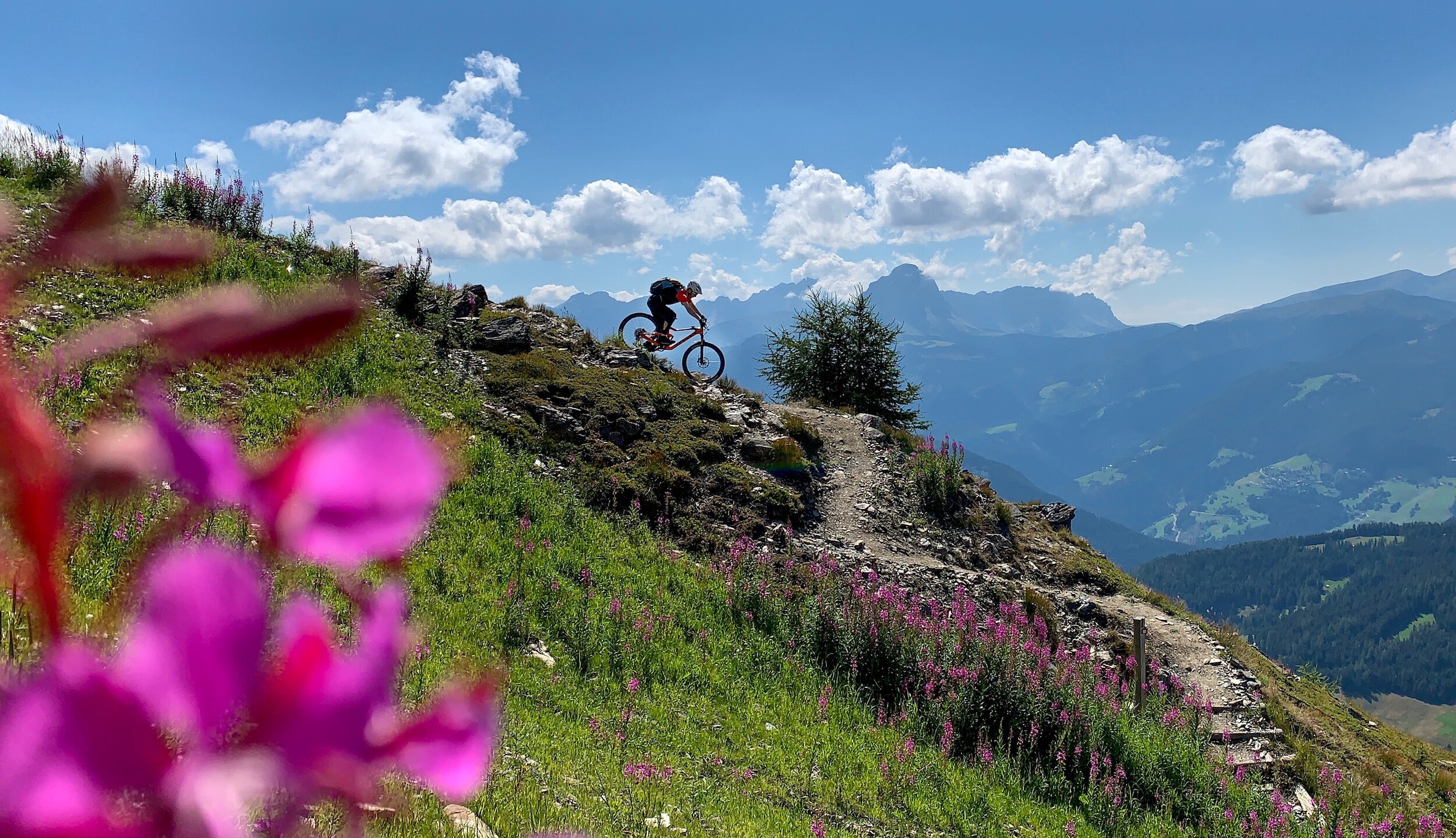 Kronplatz Outville Mountainbiken Kronplatz
