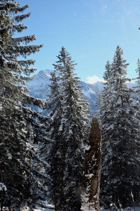 Outville_Wanderung Scheinbergspitze_1